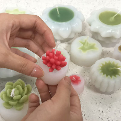kaufen Sukkulente Kerzen Formen Langlebige MHC Einzigartige 3D-Kerzen Kleine sukkulente Mini-Making Kit Kuchen Werkzeuge Typ Formen online manufacture