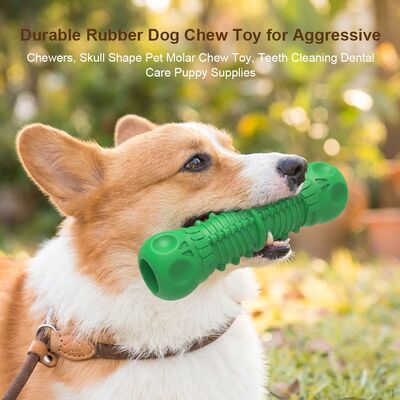 kaufen Naturgummi Hundebein Spielzeug Silikon Knochenförmiges Haustier Zähne Stick Kauen Spielzeug Zähne Reinigung Zahnpflege Welpenbedarf online manufacture