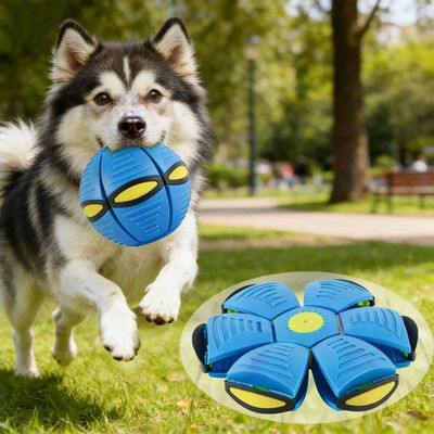 Tragbares Haustier-Hundespielzeug fliegende Untertasse magischer Ball Cartoon-Stil Outdoor-Sportspielzeug interaktives kleines Tier Verformungs-Zauberball